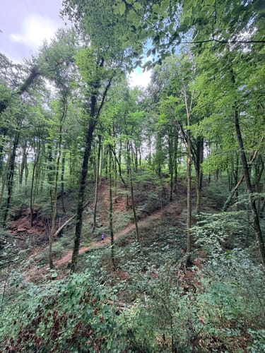 Mullerthal Trail Route 1: Echternach - Moersdorf