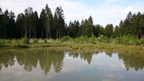 Kleiner Radrundweg - Kollerbeck und Abtei