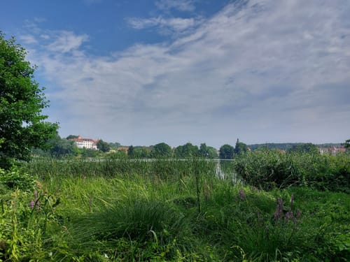 Bahnhof Buckow - Schermützelsee