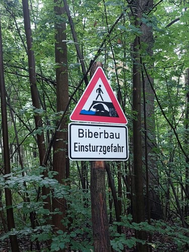 Bahnhof Buckow - Schermützelsee