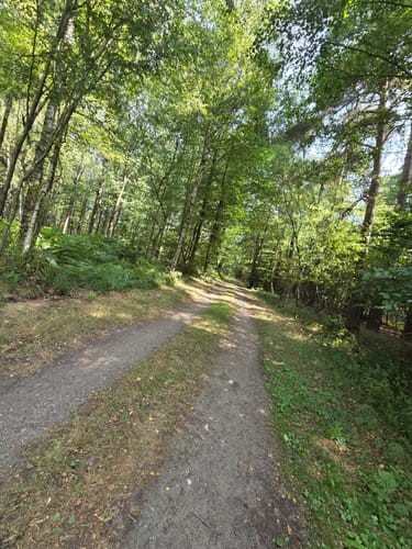 Jägerheide Rundweg A4
