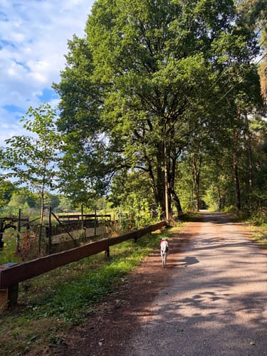 Heidhofsee Rundweg A7