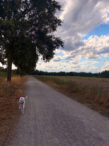 Heidhofsee Rundweg A7