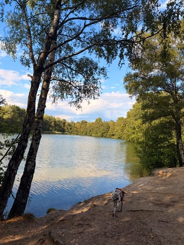 Heidhofsee Rundweg A7