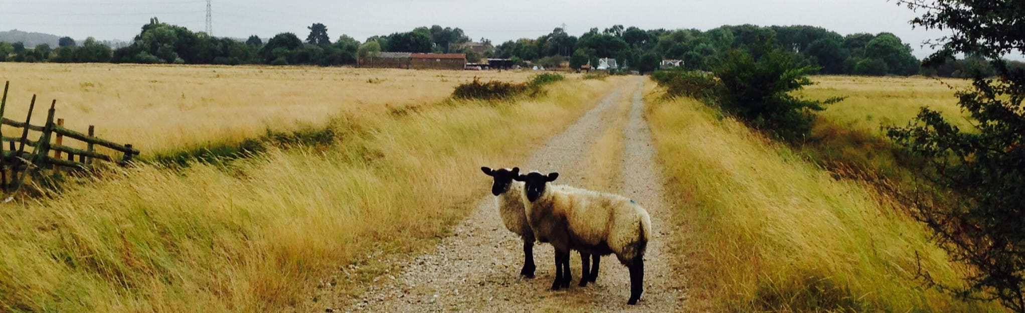 Oare Walking Tour Kent, England AllTrails