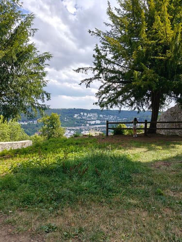 Burg Hohennagold und Wald zwischen Nagold und Waldach