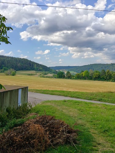 Burg Hohennagold und Wald zwischen Nagold und Waldach