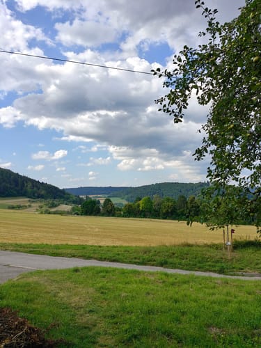 Burg Hohennagold und Wald zwischen Nagold und Waldach