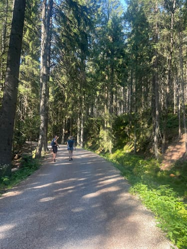Nová Pec - Plešné jezero