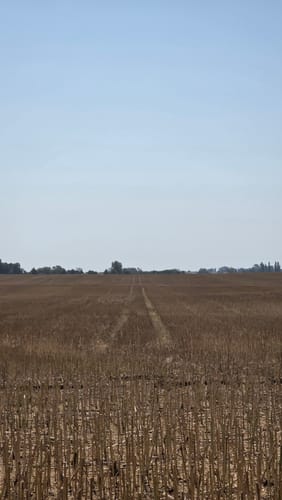 Varnkevitz - Kap Arkona - Fischerdorf Vitt - Putgarten