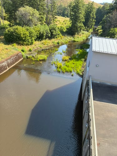 Von Königshütte nach Susenburg