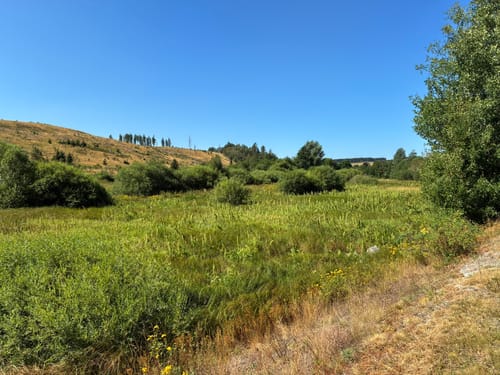 Von Königshütte nach Susenburg