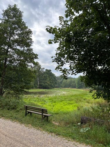 Wellenburg - Leopoldsberg