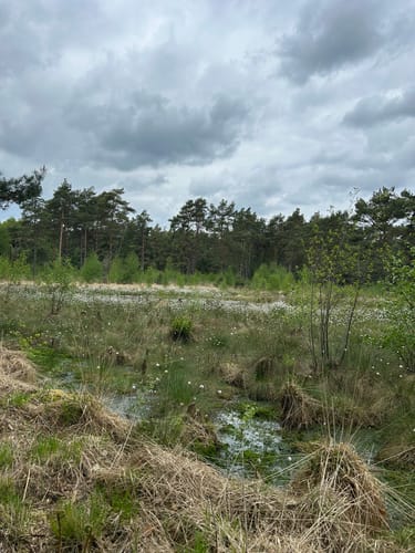 Nordpfad 'Dör't Moor'
