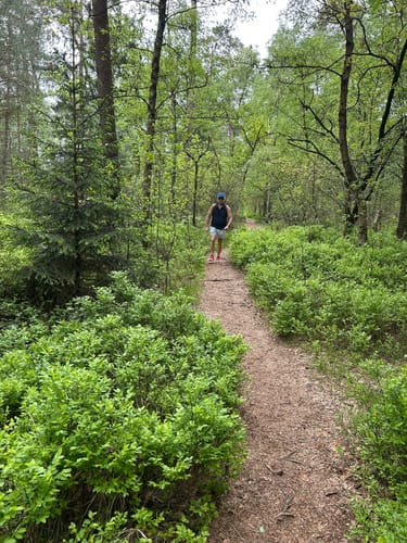 Nordpfad 'Dör't Moor'