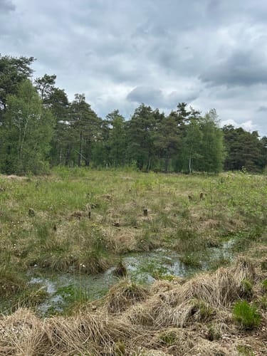 Nordpfad 'Dör't Moor'