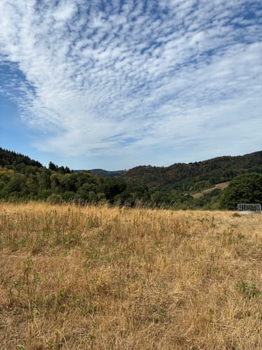 Rund um die Burg Falkenstein