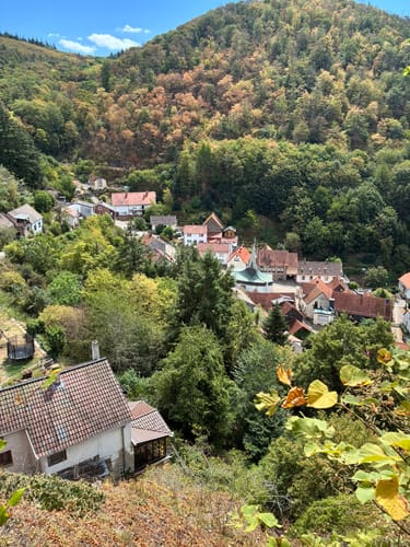 Rund um die Burg Falkenstein