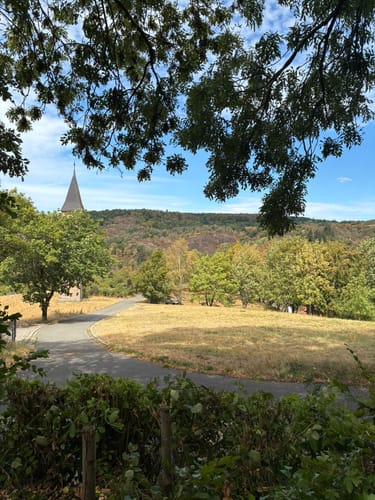 Rund um die Burg Falkenstein