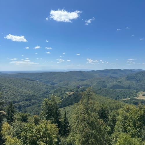 Fleckenstein - Loewenstein - Hohenbourg - Schlossberg