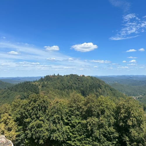 Fleckenstein - Loewenstein - Hohenbourg - Schlossberg