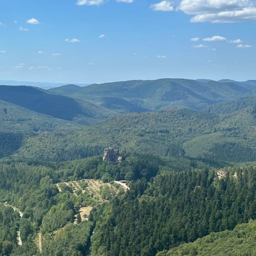 Fleckenstein - Loewenstein - Hohenbourg - Schlossberg