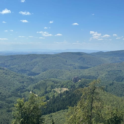 Fleckenstein - Loewenstein - Hohenbourg - Schlossberg