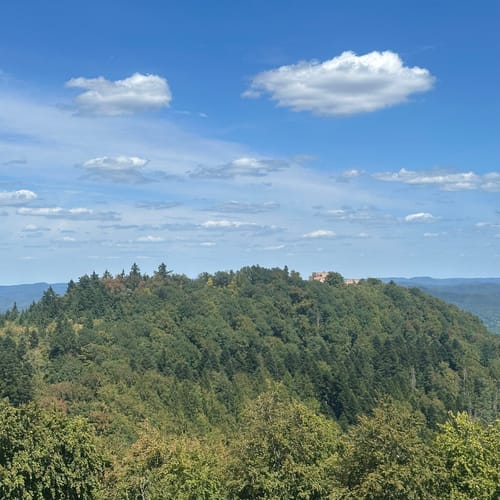 Fleckenstein - Loewenstein - Hohenbourg - Schlossberg