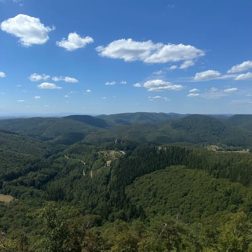 Fleckenstein - Loewenstein - Hohenbourg - Schlossberg