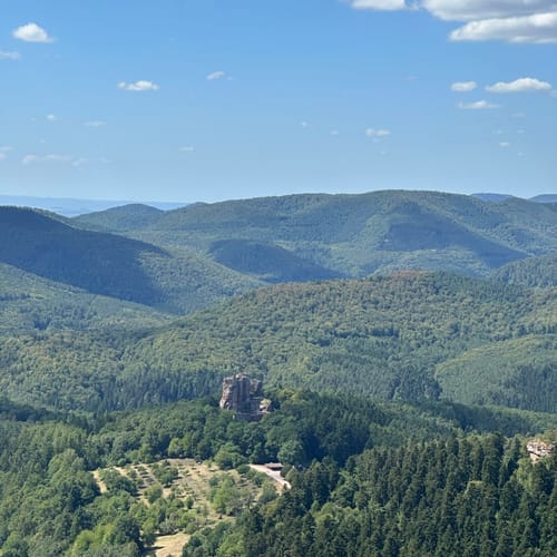 Fleckenstein - Loewenstein - Hohenbourg - Schlossberg