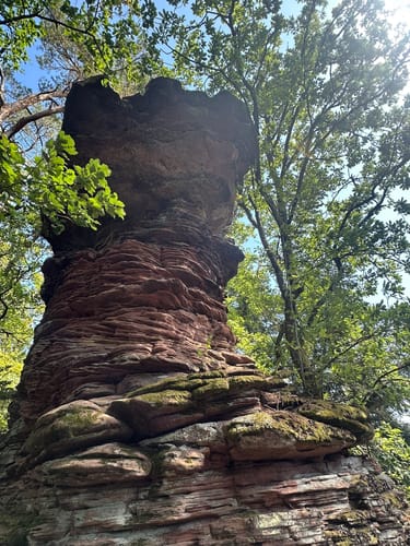 Fleckenstein - Loewenstein - Hohenbourg - Schlossberg
