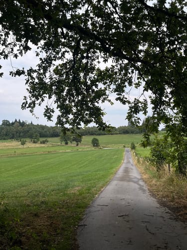 Wildpark Bilsteintal