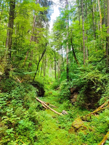 Drei-Schluchten-Wanderung