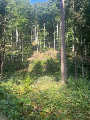 Schnappenlahner-Tour zur Staudacher Alm