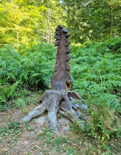 Auf der Lahnhöhe oberhalb der Ruppertsklamm