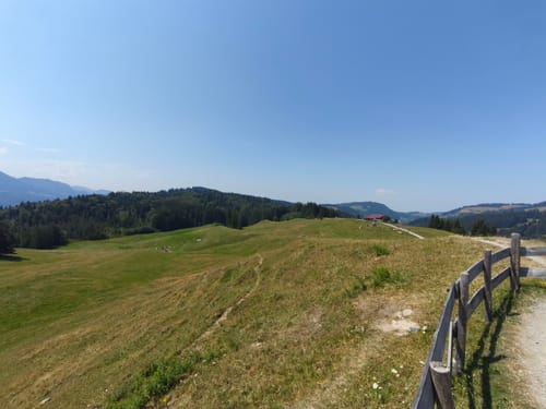 Schiettermoos - Jugetköpfle