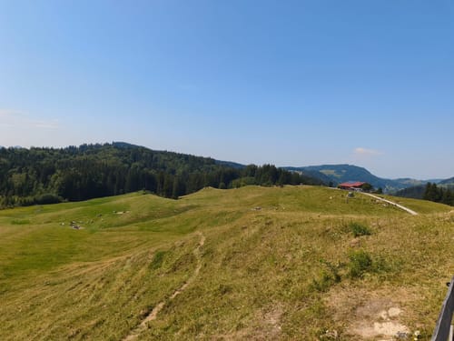 Schiettermoos - Jugetköpfle