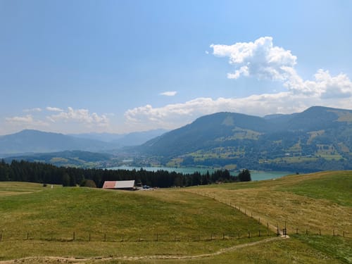 Schiettermoos - Jugetköpfle