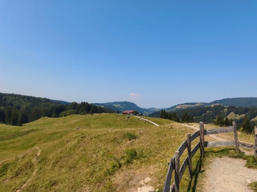 Schiettermoos - Jugetköpfle