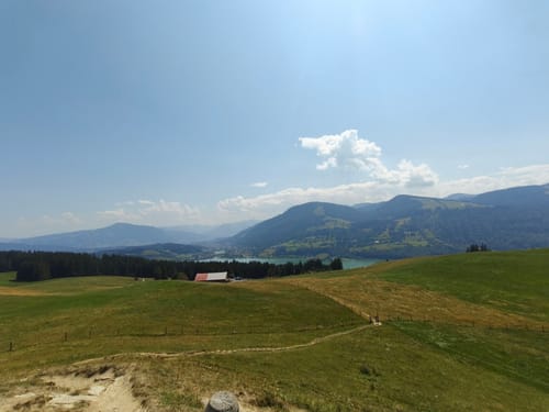 Schiettermoos - Jugetköpfle
