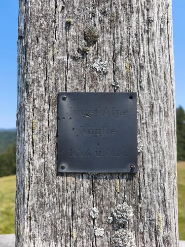 Schiettermoos - Jugetköpfle