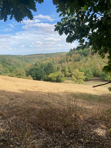 Zwischen Zerkall und Rurtalsperre