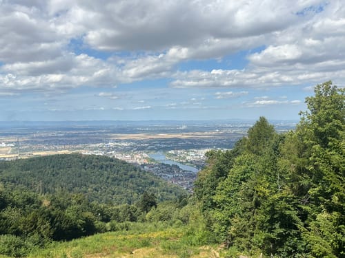 Rund um den Königstuhl