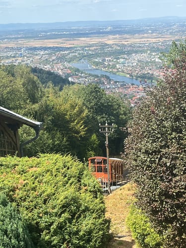 Rund um den Königstuhl