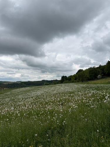 Mullerthal Trail Route 1: Echternach - Moersdorf