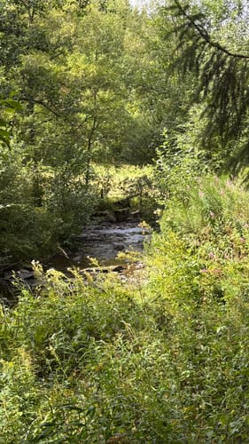 Perlenbachtal ab Höfener Mühle