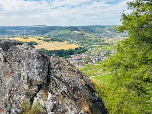 Saar-Riesling-Steig (Moselsteig Seitensprung)