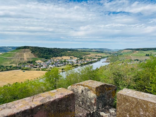 Saar-Riesling-Steig (Moselsteig Seitensprung)