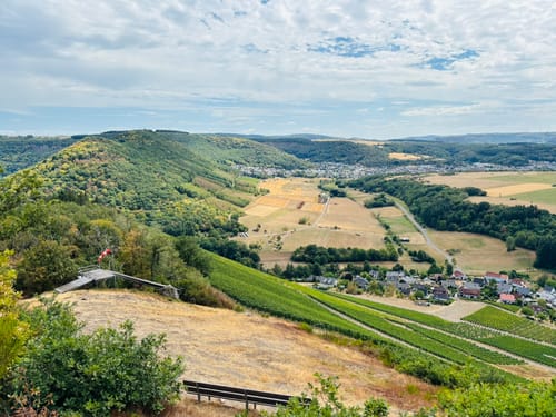 Saar-Riesling-Steig (Moselsteig Seitensprung)