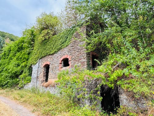 Saar-Riesling-Steig (Moselsteig Seitensprung)